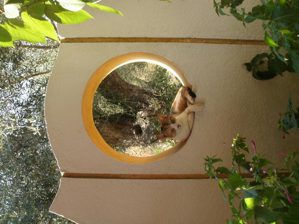 Athina Aparthotel Kávos Buitenkant foto